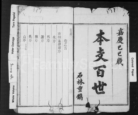 安徽叶氏族谱-石林叶氏宗谱 [5卷,首1卷].pdf电子版预览图2