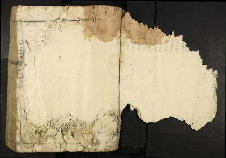 江西叶氏族谱-七星树下叶氏都督公衣谱牌.pdf电子版预览图2