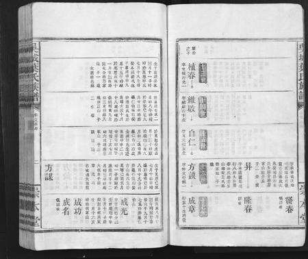 江西叶氏族谱-吴城叶氏宗谱 [不分卷].pdf电子版预览图2