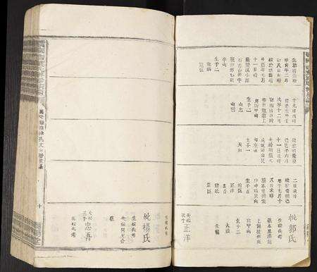 江西叶氏族谱-赣南吉叶氏联修族谱.pdf电子版预览图2