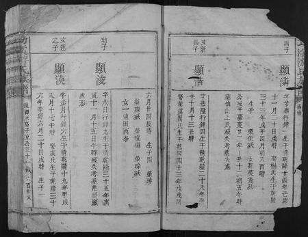 江西游氏族谱-功溪游氏族谱.pdf电子版预览图2