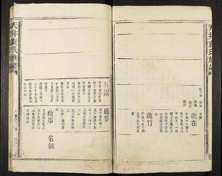 江西袁氏族谱-天井袁氏族谱.pdf电子版预览图2