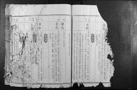 江西袁氏族谱-定南潭庆袁氏四修族谱.pdf电子版预览图2