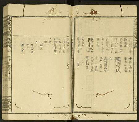 江西袁氏族谱-万载袁氏重修族谱 [残卷].pdf电子版预览图2