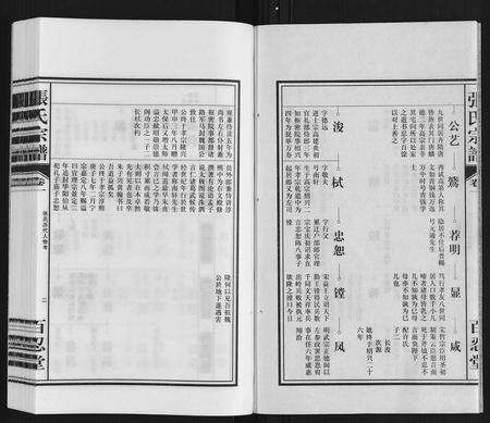 安徽张氏族谱-张氏宗谱.pdf电子版预览图2