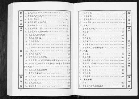 江西张氏族谱-张氏宗谱[12卷首1卷].pdf电子版预览图2