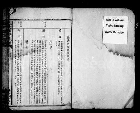 江西张氏族谱-张氏联修族谱 [卷数不明].pdf电子版预览图2