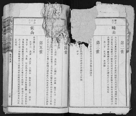 江西张氏族谱-瑞金张氏初修族谱.pdf电子版预览图2