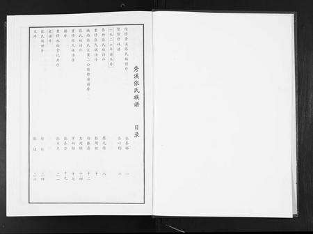 江西张氏族谱-秀溪张氏族谱.pdf电子版预览图2