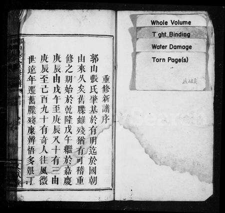 江西张氏族谱-郭山张氏重修族谱 [3卷,及卷首末].pdf电子版预览图2