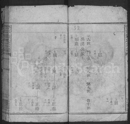 江西张氏族谱-丰谿张氏宗谱 [不分卷].pdf电子版预览图2