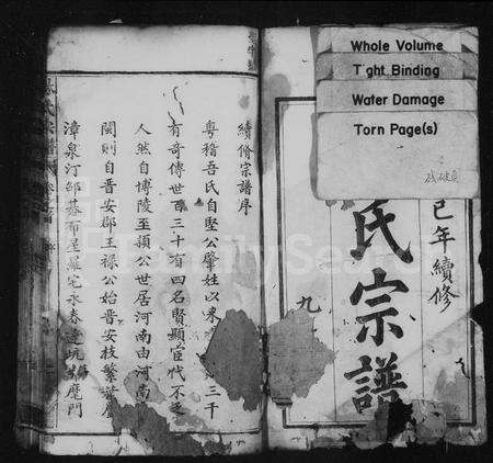 福建林氏族谱-林氏宗谱 [28卷,首末各1卷].pdf电子版预览图2