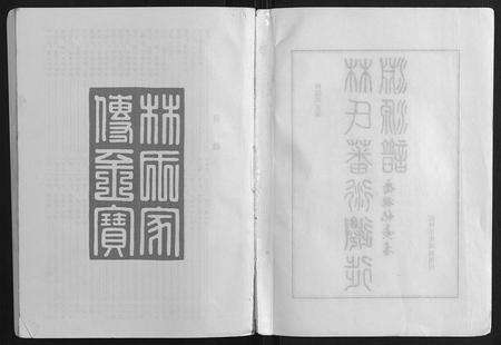 福建林氏族谱-林氏藩衍迁徙渊源谱.pdf电子版预览图2