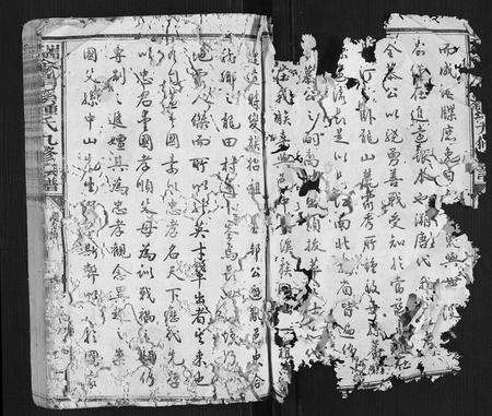 江西锺氏族谱-瑞金清溪锺氏九修族谱[不分卷].pdf电子版预览图2