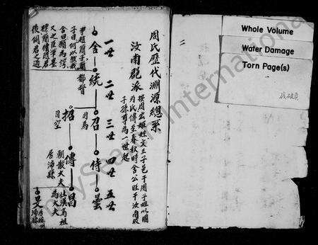 安徽周氏族谱-鹞石周氏支谱 [残卷].pdf电子版预览图2