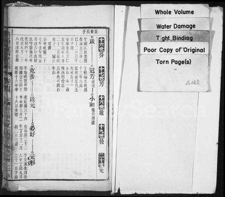 安徽周氏族谱-鹞石周氏诜羽堂支谱 [残卷].pdf电子版预览图2