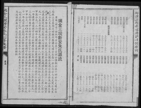 江西朱氏族谱-瑞金三垻新安朱氏七修族谱.pdf电子版预览图2