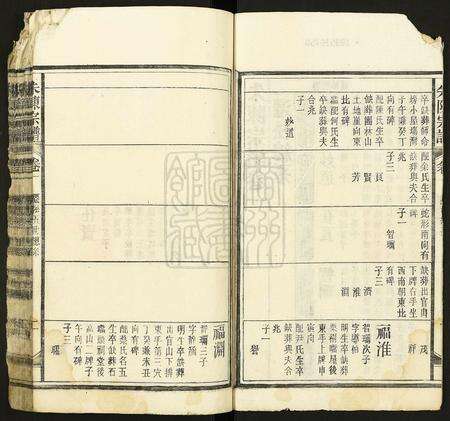 安徽朱氏陈氏族谱-朱陈宗谱.pdf电子版预览图2