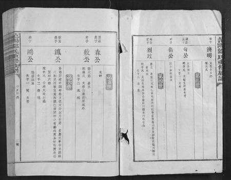 江西邹氏族谱-范阳邹氏重修族谱[不分卷].pdf电子版预览图2