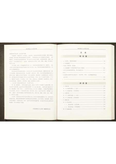 福建林氏族谱-福清林氏大宗谱.pdf电子版预览图2