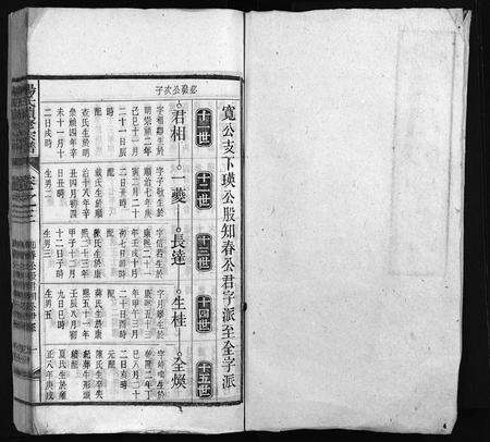 安徽杨氏族谱-杨氏续修宗谱 [61卷,首2卷,末1卷].pdf电子版预览图2