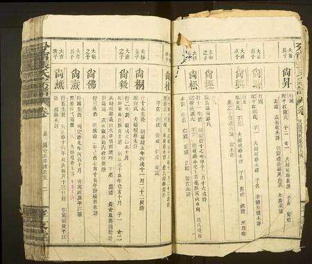 江西张氏族谱-分甯张氏宗谱[卷数不详].pdf电子版预览图2