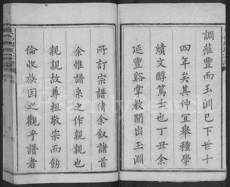 江西周氏族谱-丰谿大石周氏宗谱 [不分卷].pdf电子版预览图2