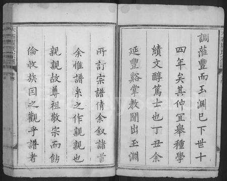 江西周氏族谱-丰谿大石周氏宗谱 [不分卷].pdf电子版预览图2