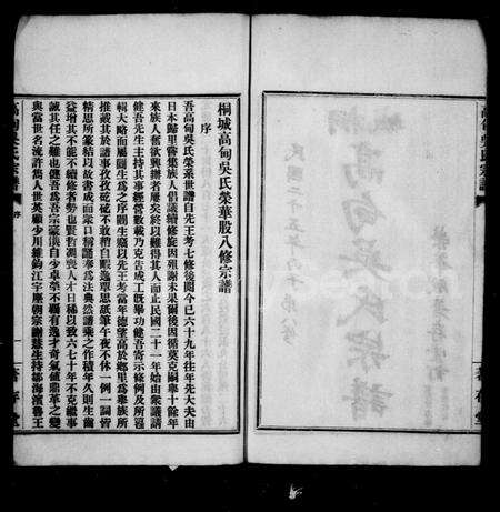 安徽吴氏族谱-桐城高甸吴氏荣华宗谱 [91卷].pdf电子版预览图2