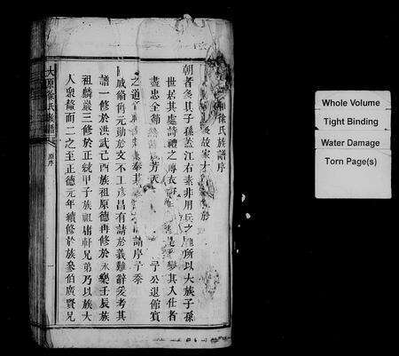 江西徐氏族谱-大原徐氏族谱.pdf电子版预览图2