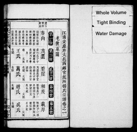 安徽杨氏族谱-杨氏宗谱 [19卷,首1卷].pdf电子版预览图2
