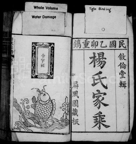 安徽杨氏族谱-杨氏家乘 [16卷].pdf电子版预览图2