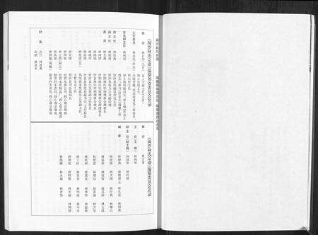 福建林氏族谱-闽沙林氏宗谱[5卷].pdf电子版预览图2
