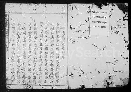 江西袁氏族谱-袁氏合修族谱 [卷数未列].pdf电子版预览图2