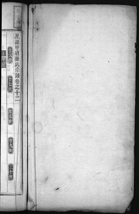 安徽张氏族谱-星源甲道张氏宗谱 [残卷].pdf电子版预览图2