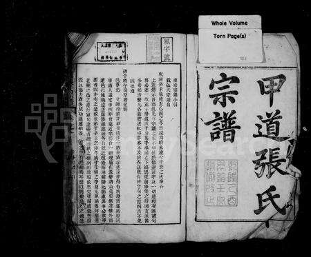 安徽张氏族谱-甲道张氏宗谱 [42卷,续编2卷].pdf电子版预览图2