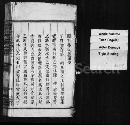 福建林氏族谱-饶阳林氏宗谱 [残卷].pdf电子版预览图2