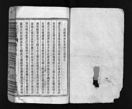 安徽张氏族谱-碑亭张氏宗谱 [12卷].pdf电子版预览图2