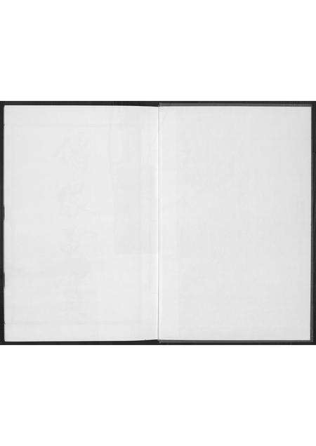 福建林氏族谱-凤池埕头林氏大宗谱.pdf电子版预览图2