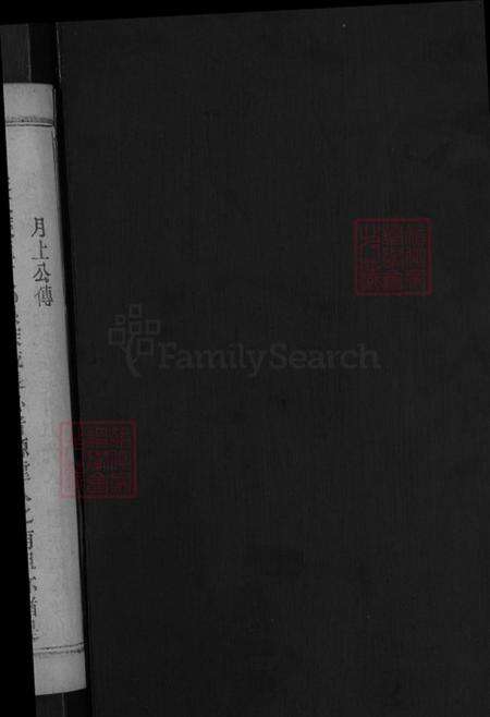 湖北省黄冈市麻城市戴氏讲席堂族谱-戴氏宗谱.pdf电子版预览图2