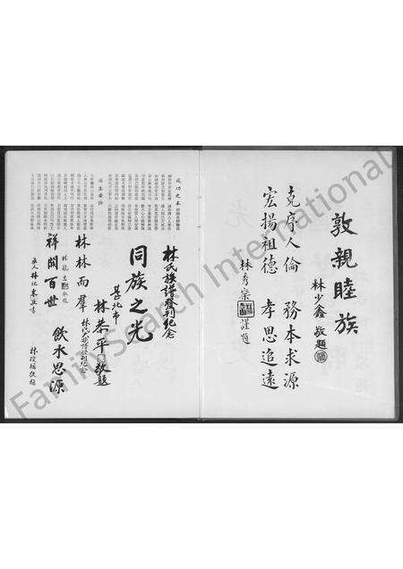 福建林氏族谱-安溪新春林氏大族谱 [不分卷].pdf电子版预览图2