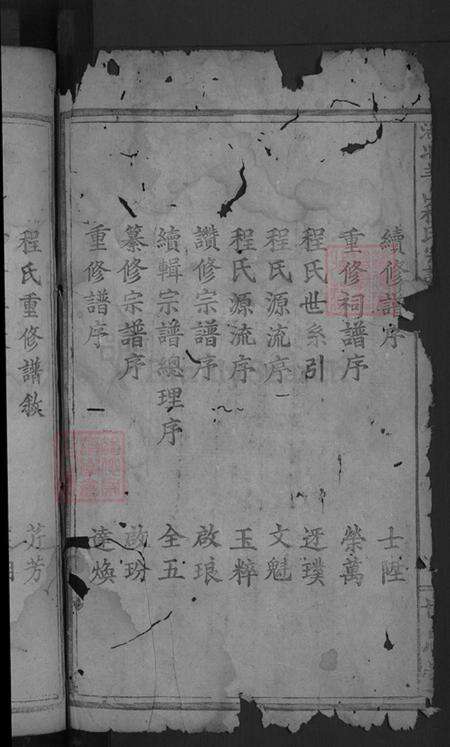 湖北省咸宁市通山县程氏世忠堂族谱-湖北羊山程氏宗谱.pdf电子版预览图2