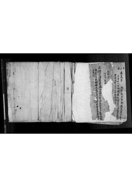 福建林氏族谱-[安溪柏叶林氏族谱].pdf电子版预览图2