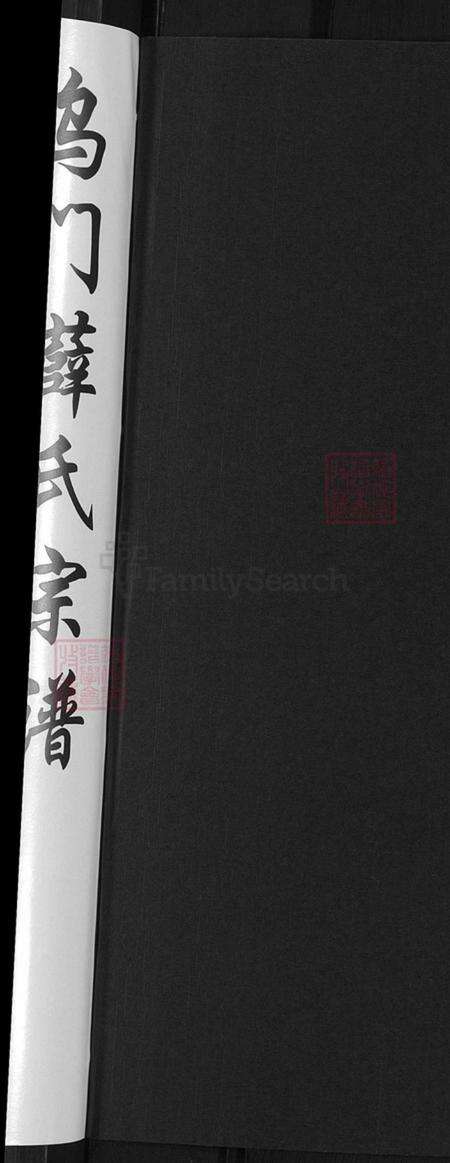 浙江省金华市薛氏观乐堂族谱-金华乌门薛氏宗谱.pdf电子版预览图2
