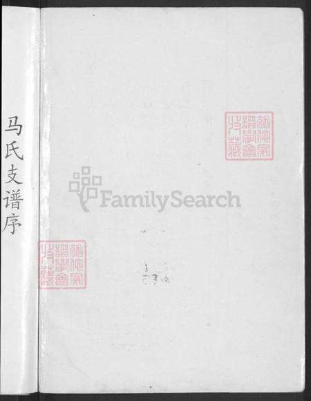 山东省潍坊市青州市庙子镇马氏族谱-马氏支谱.pdf电子版预览图2