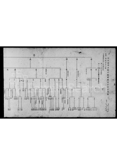 福建林氏族谱-彰化县伸港乡什股村林姓宗族系统表.pdf电子版预览图2
