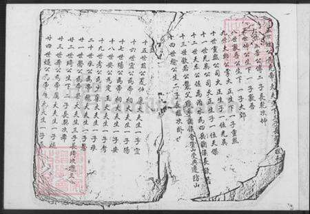 福建省漳州市平和县张氏族谱-张氏世谱.pdf电子版预览图2