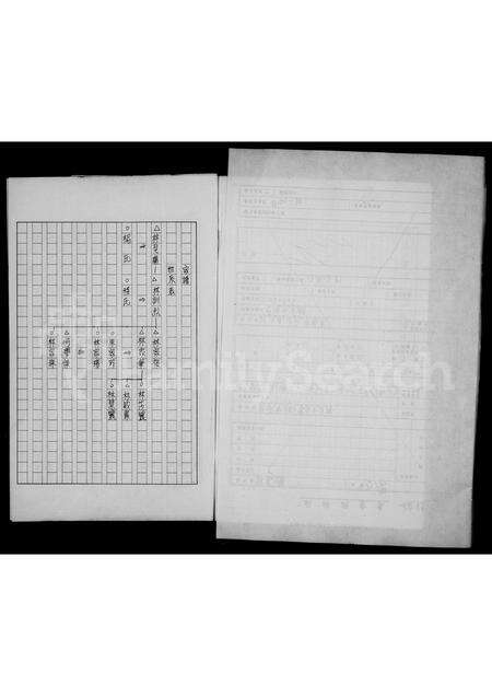 福建林氏族谱-林氏家谱.pdf电子版预览图2