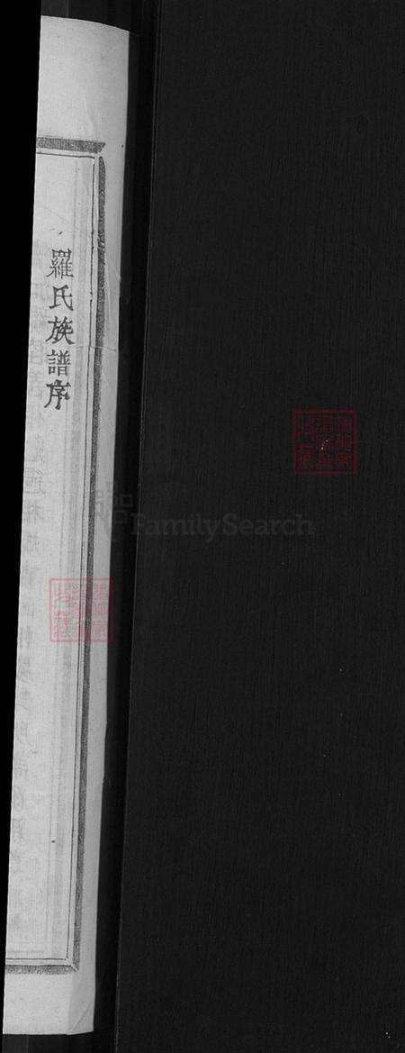 广东省梅州市兴宁市大坪镇罗氏豫章堂族谱-罗氏重修谱序.pdf电子版预览图2