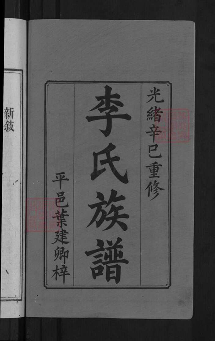 福建省龙岩市上杭县李氏陇西堂族谱-李氏族谱.pdf电子版预览图2